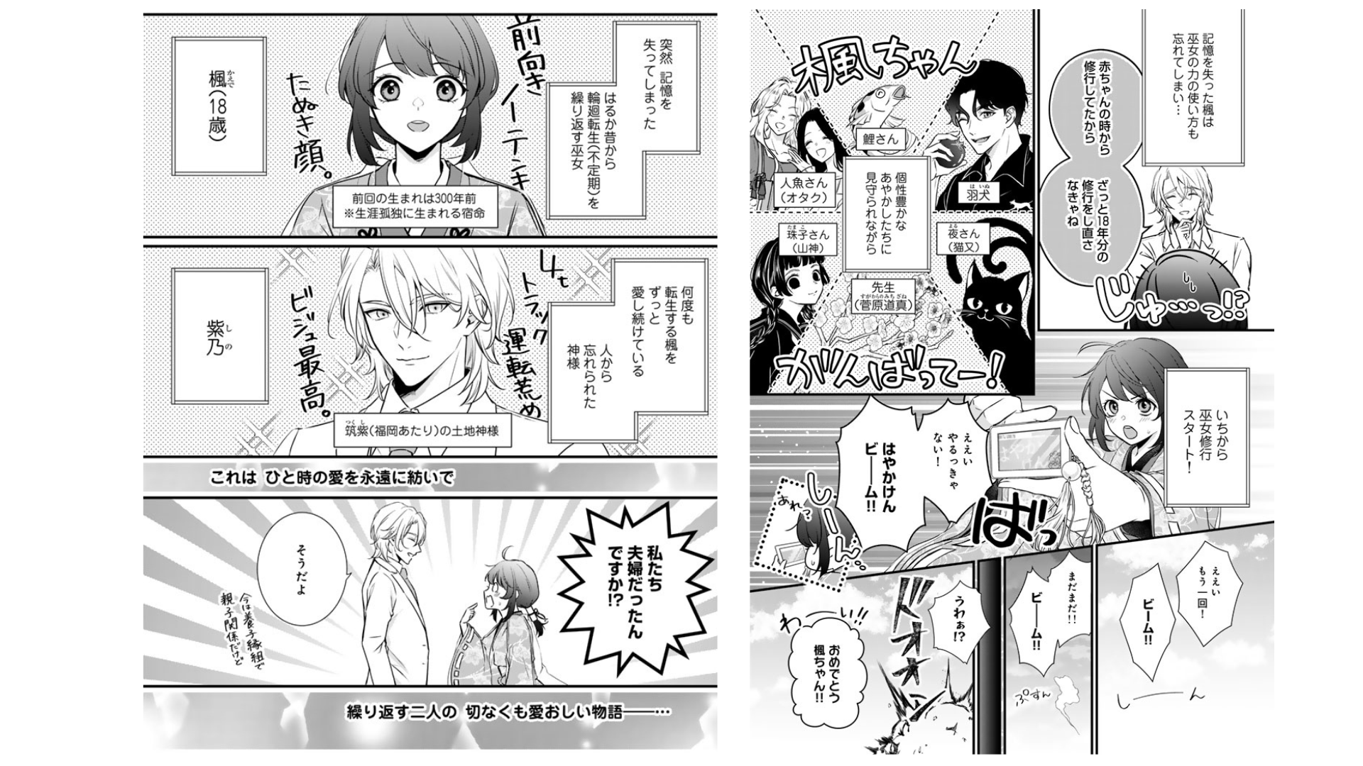 新刊告知画像